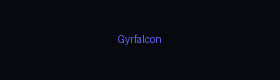 Gyrfalcon